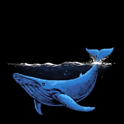 nnnn