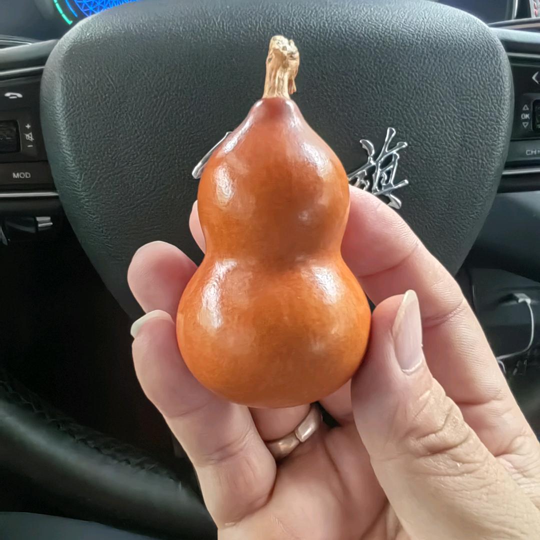 陈六冶