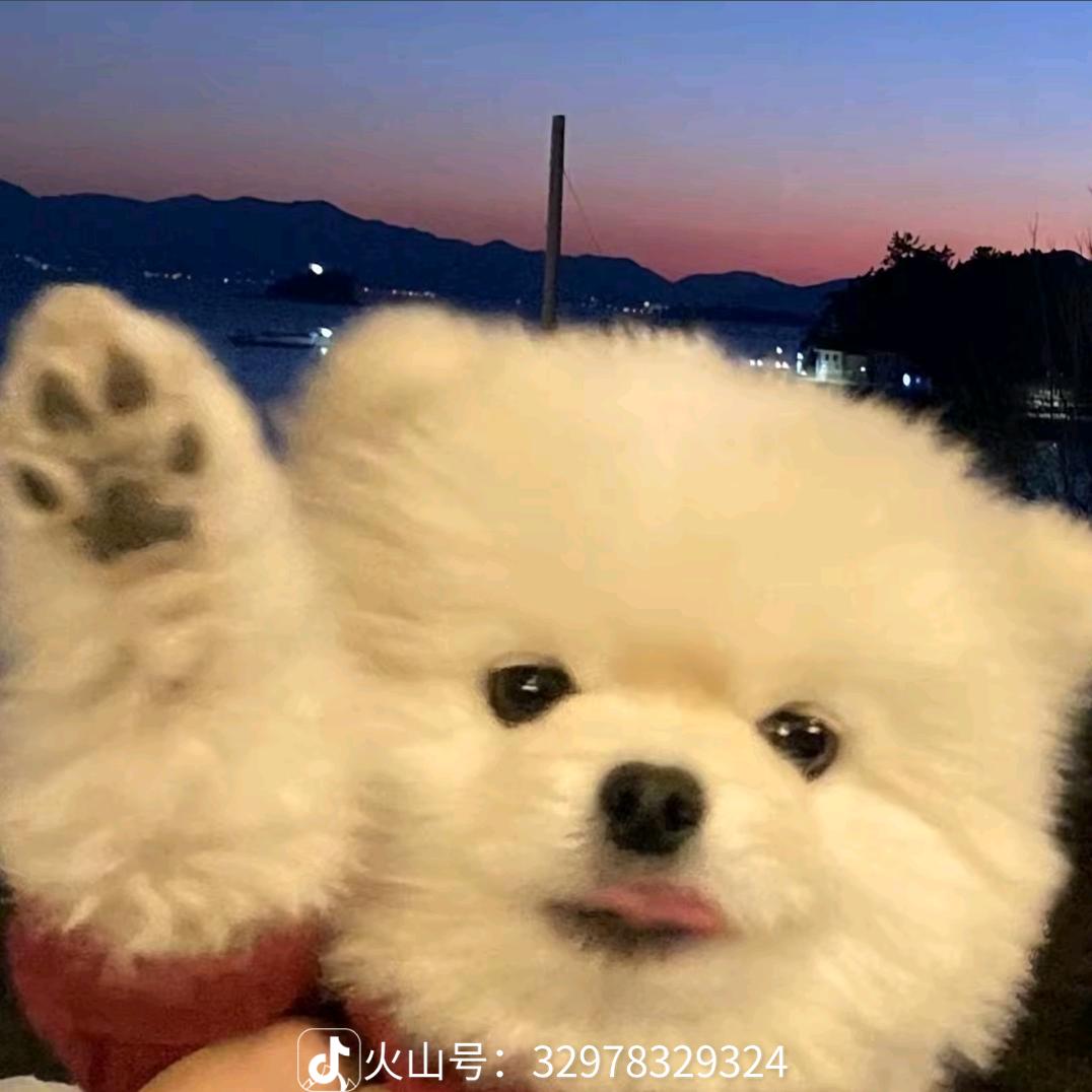 快乐的就是😊我