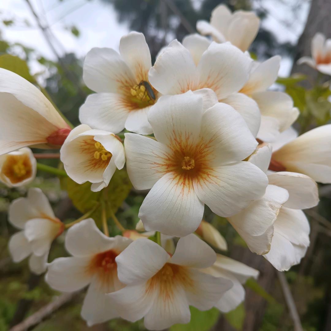 简逸繁门窗邓姐