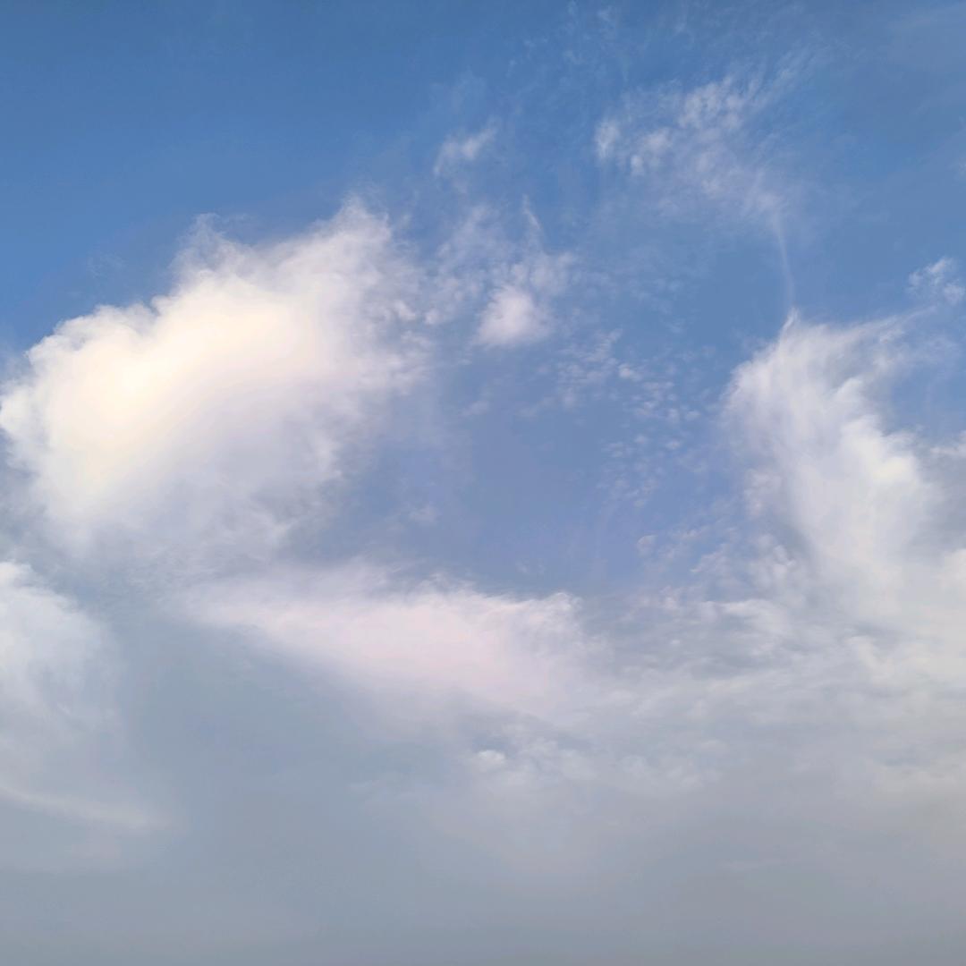 97659858452