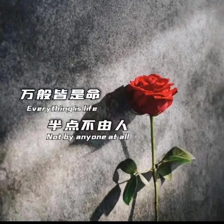 ☂້໌ᮨ༢事与愿违ꦿ