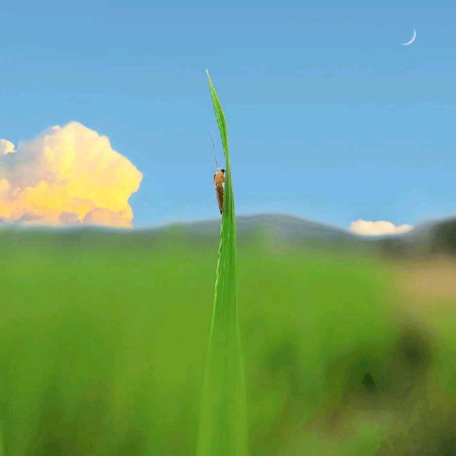 用户8283177162357开心就好！