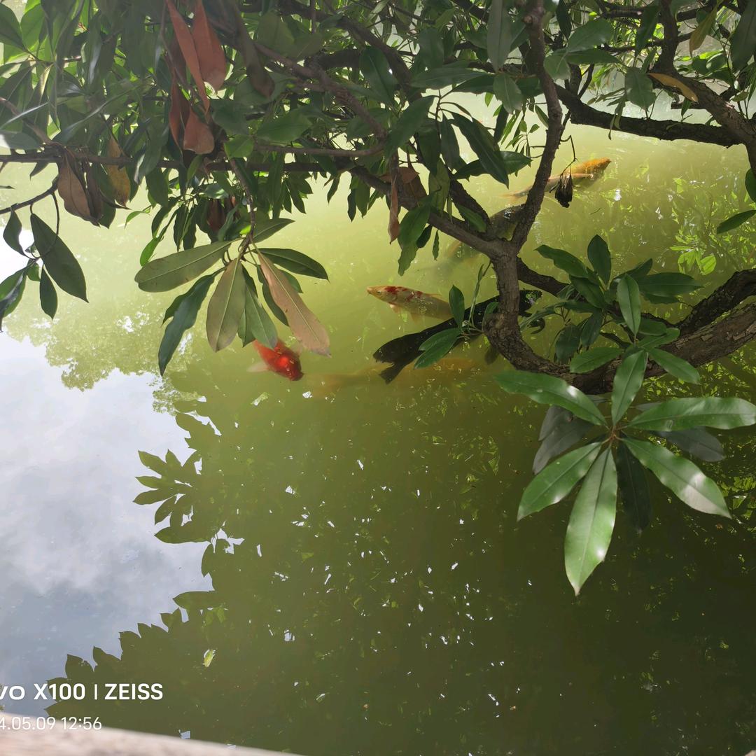 从此只为自己活