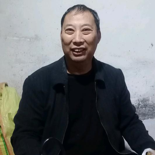 罗老四