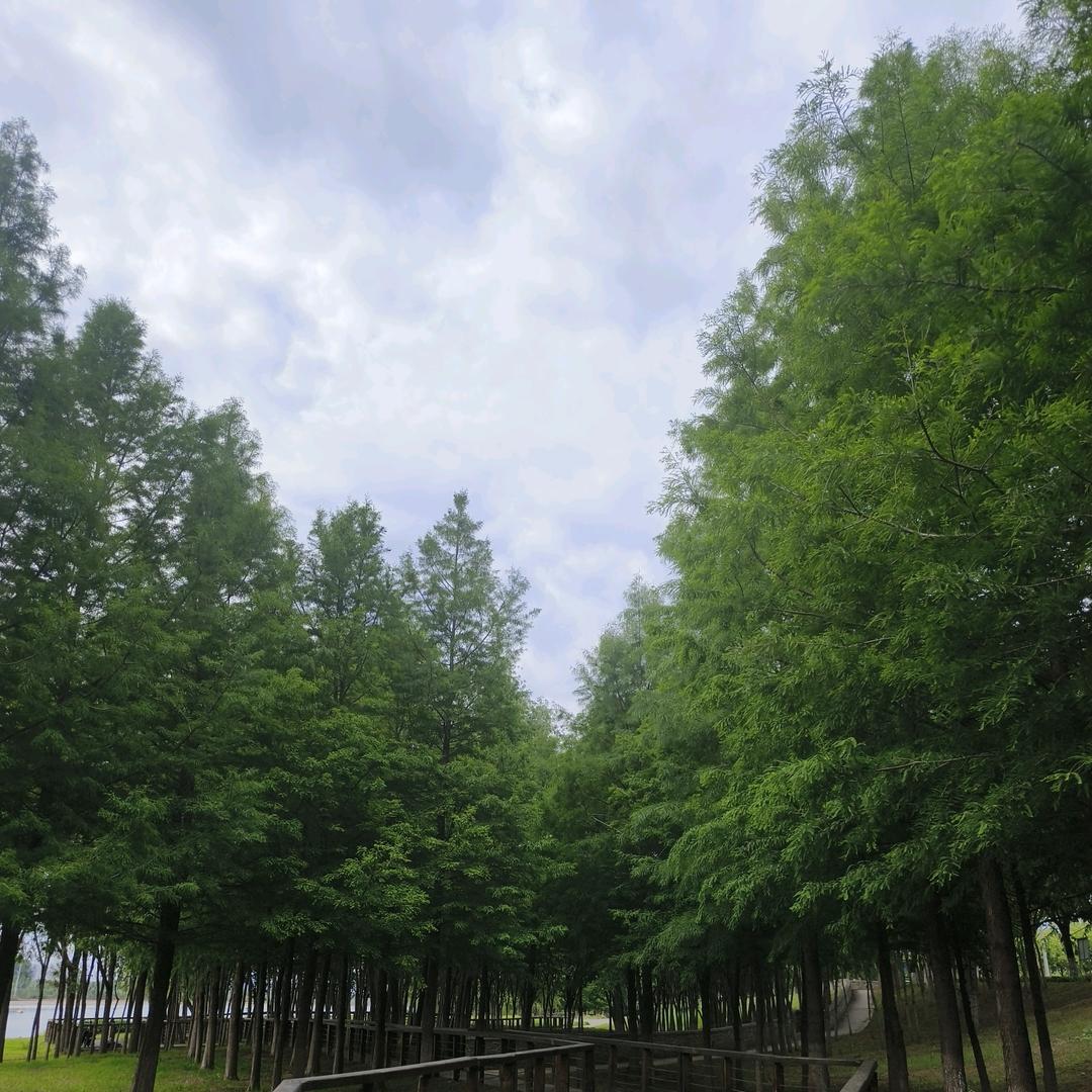 真爱你的云☁️