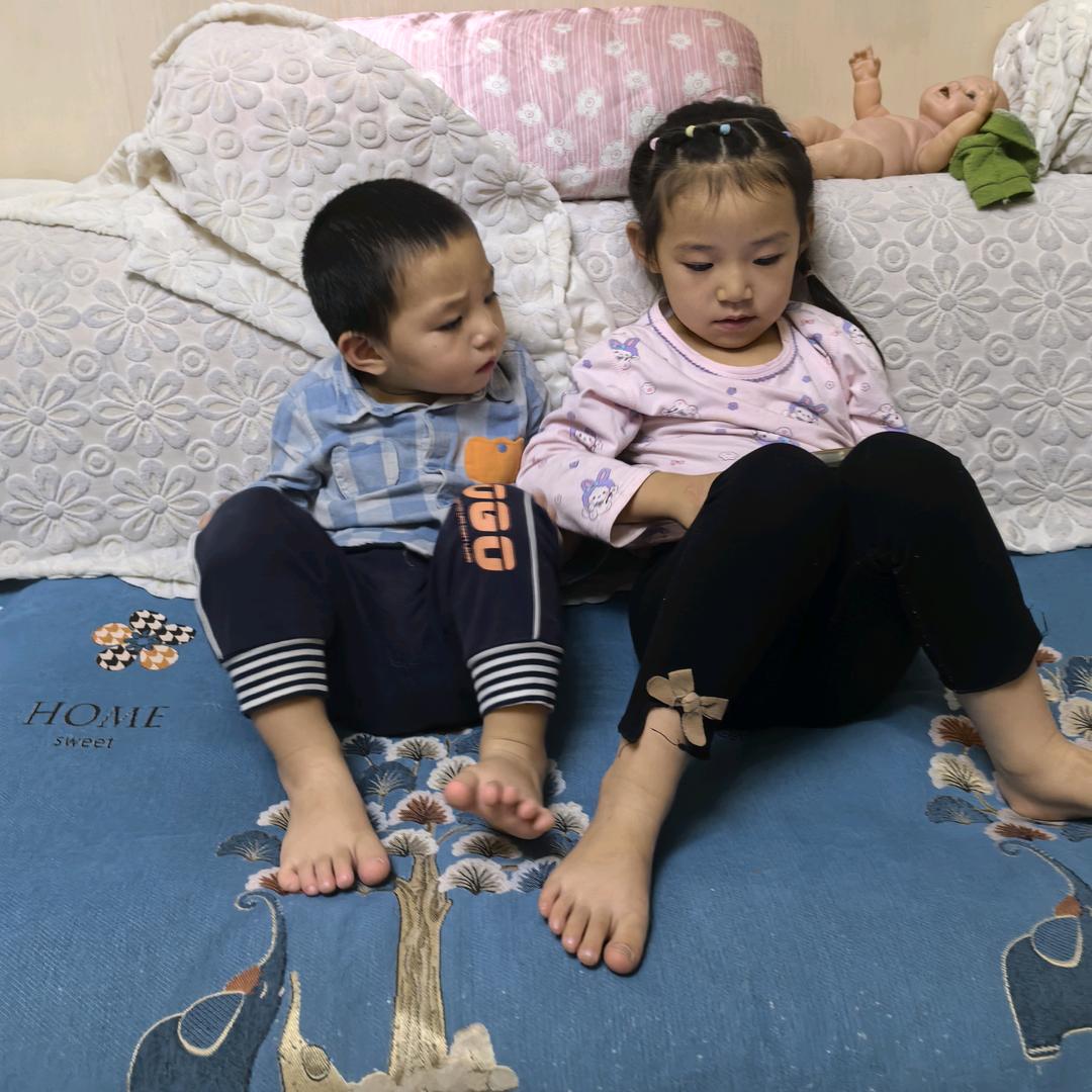 阿拉尔市繁花花卉店