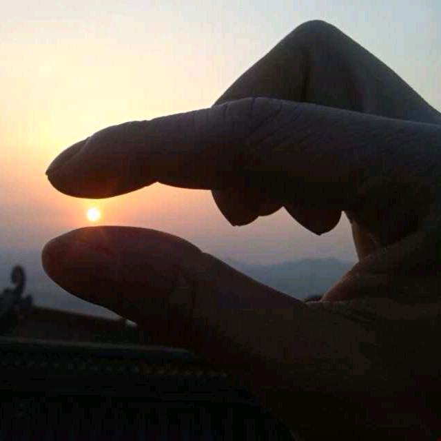 你就是个老6