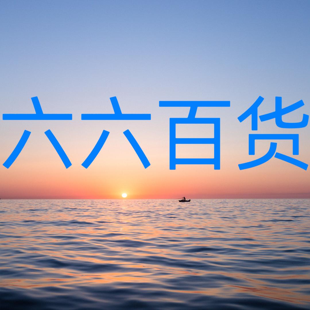 六六百货