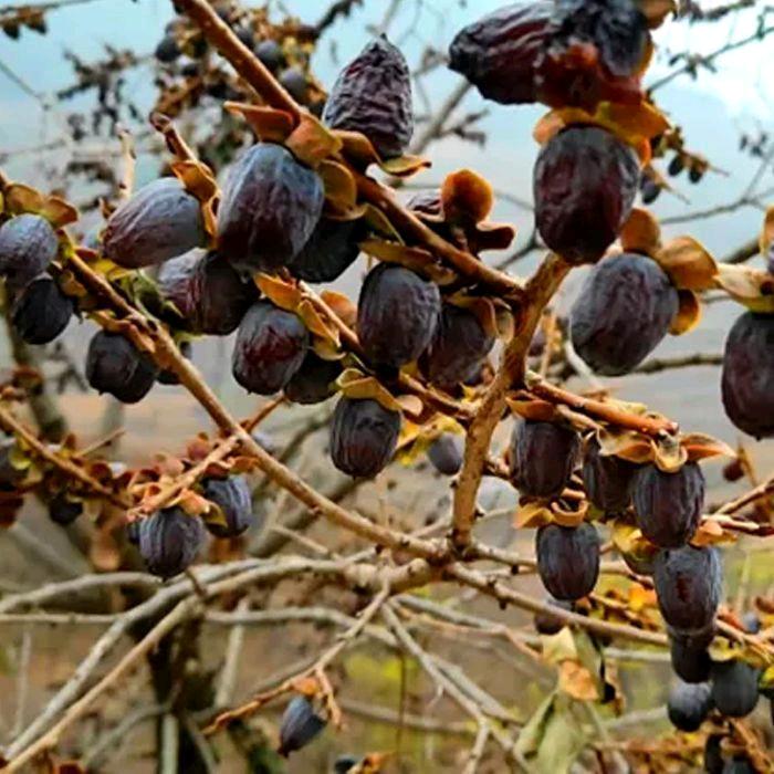 太行山80后农产品