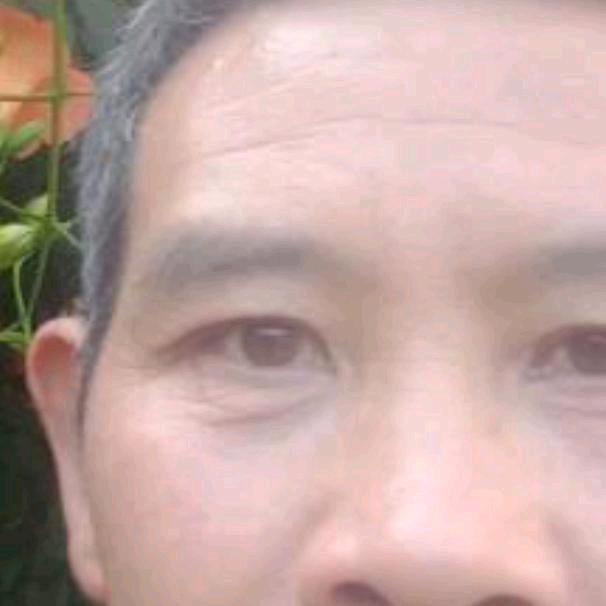 段哥