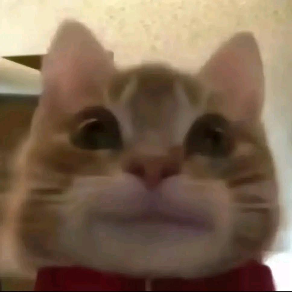 即刻小明
