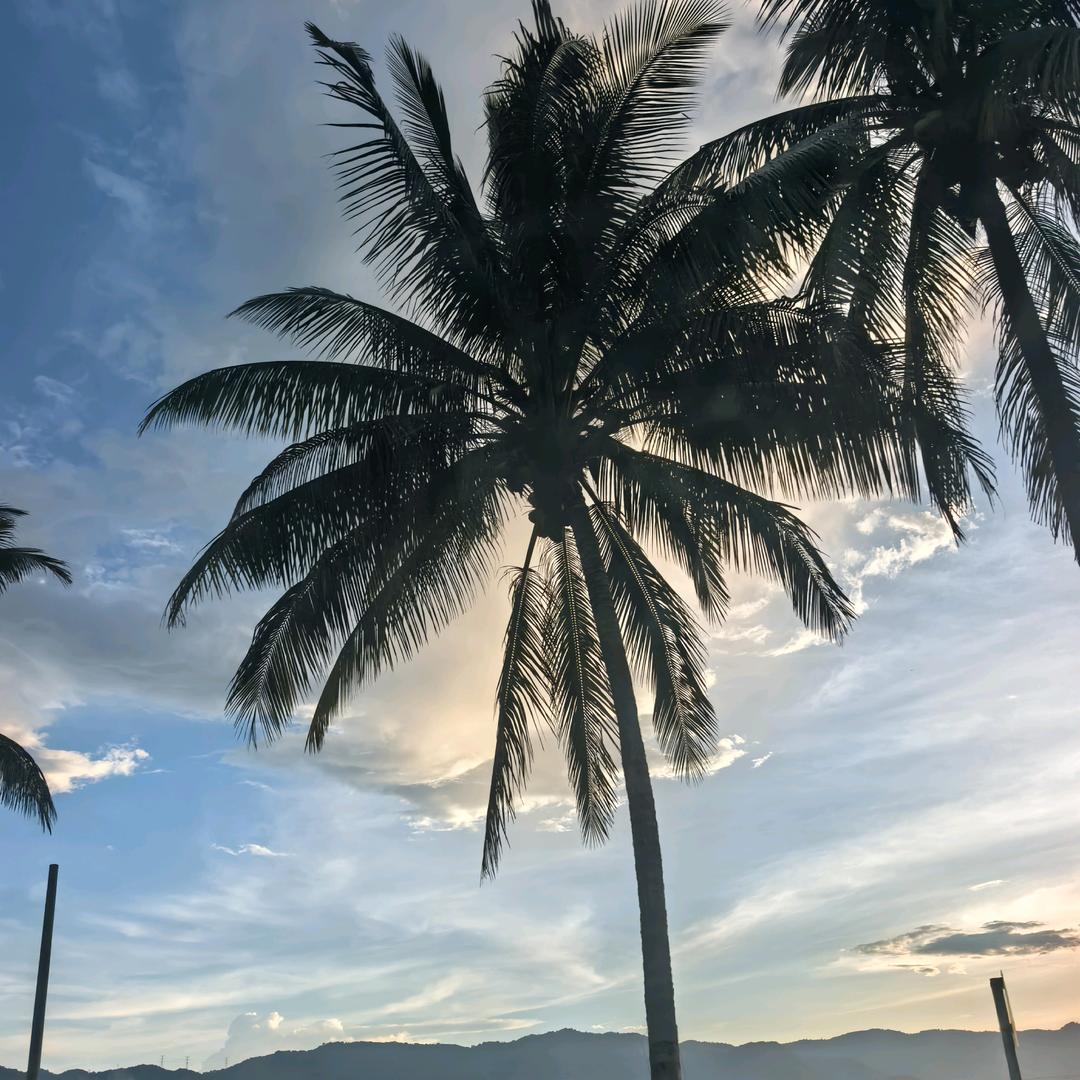 爱穿搭的行走者