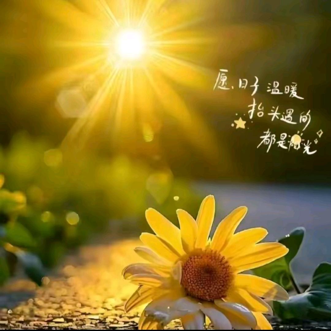 葛傲好物分享