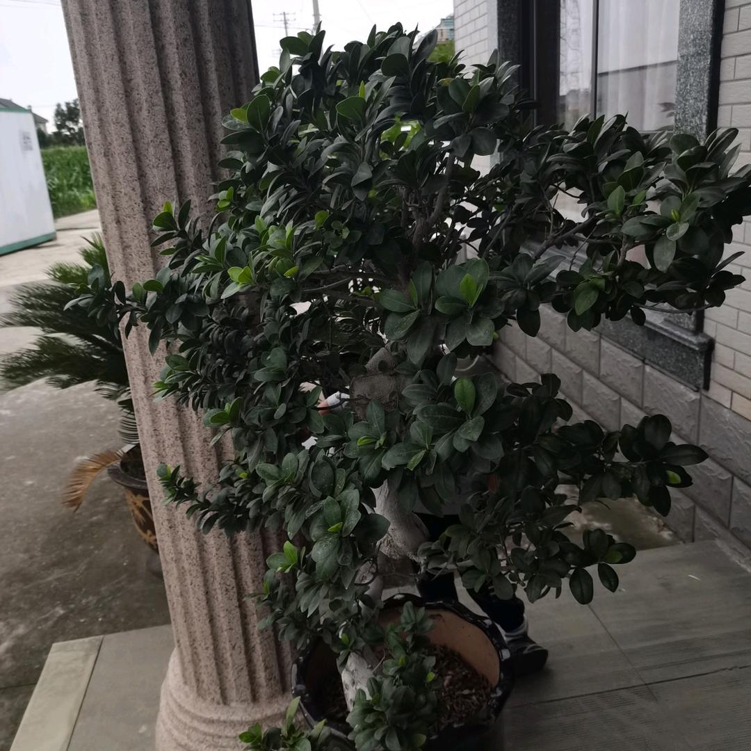 🇨🇳🇨🇳💔💔♥️♥️♥️