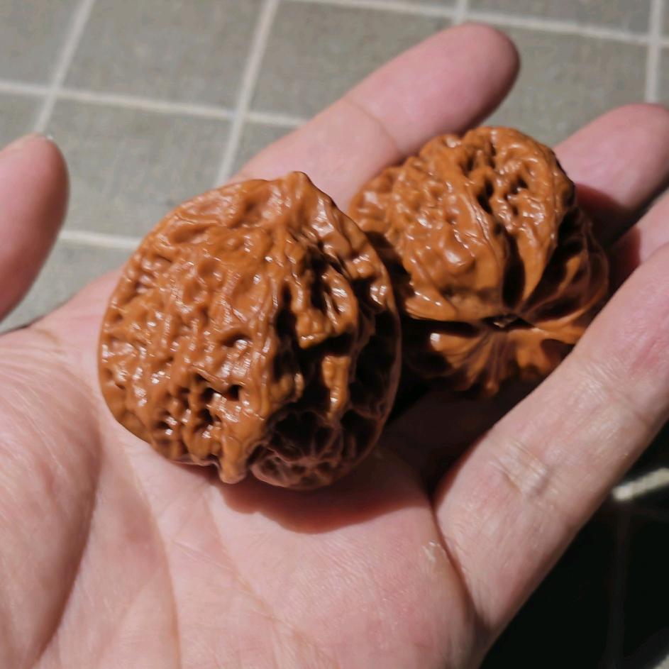 季哥核桃打底（接手工打底）