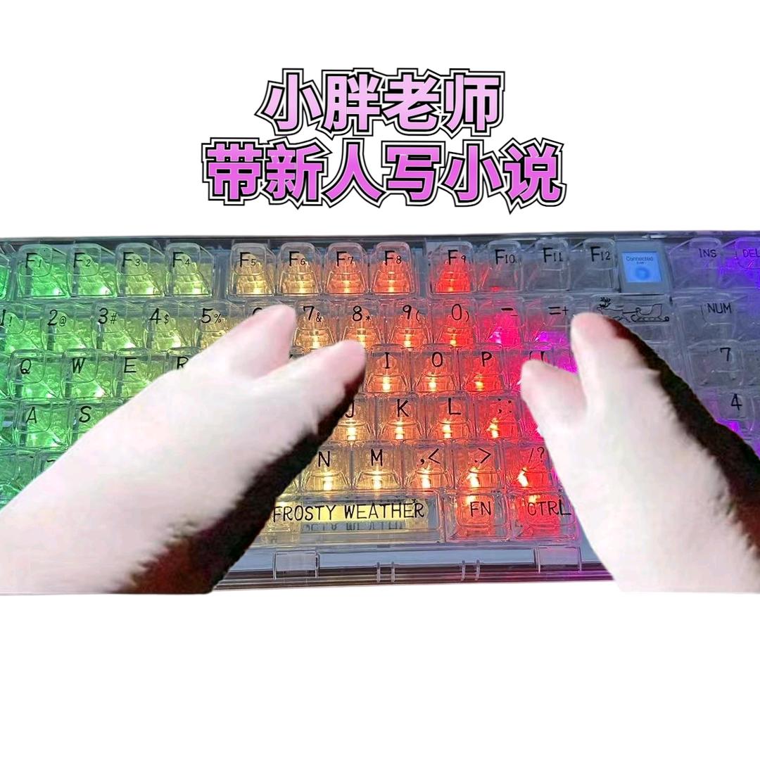 胖姐带新人写小说