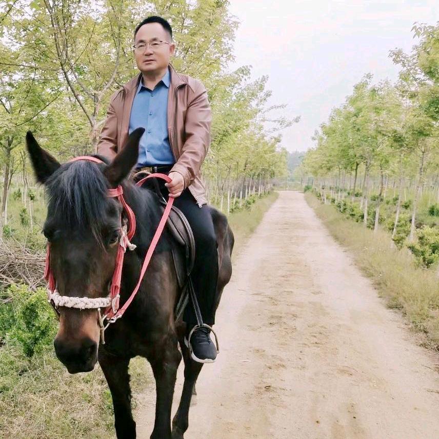 秋实（手机摄影）