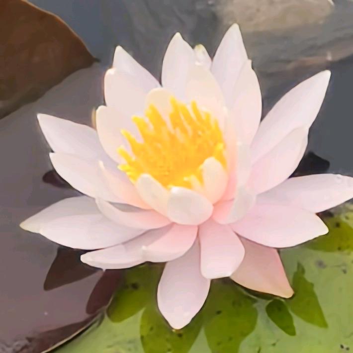 懂善～敬因果《修行人》