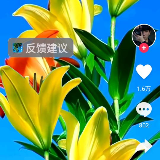 忘记背后努力面前。