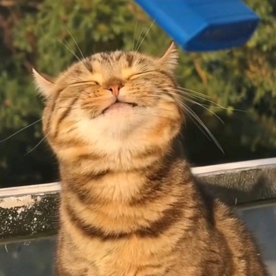 字澍川-汉诺塔爬塔高手