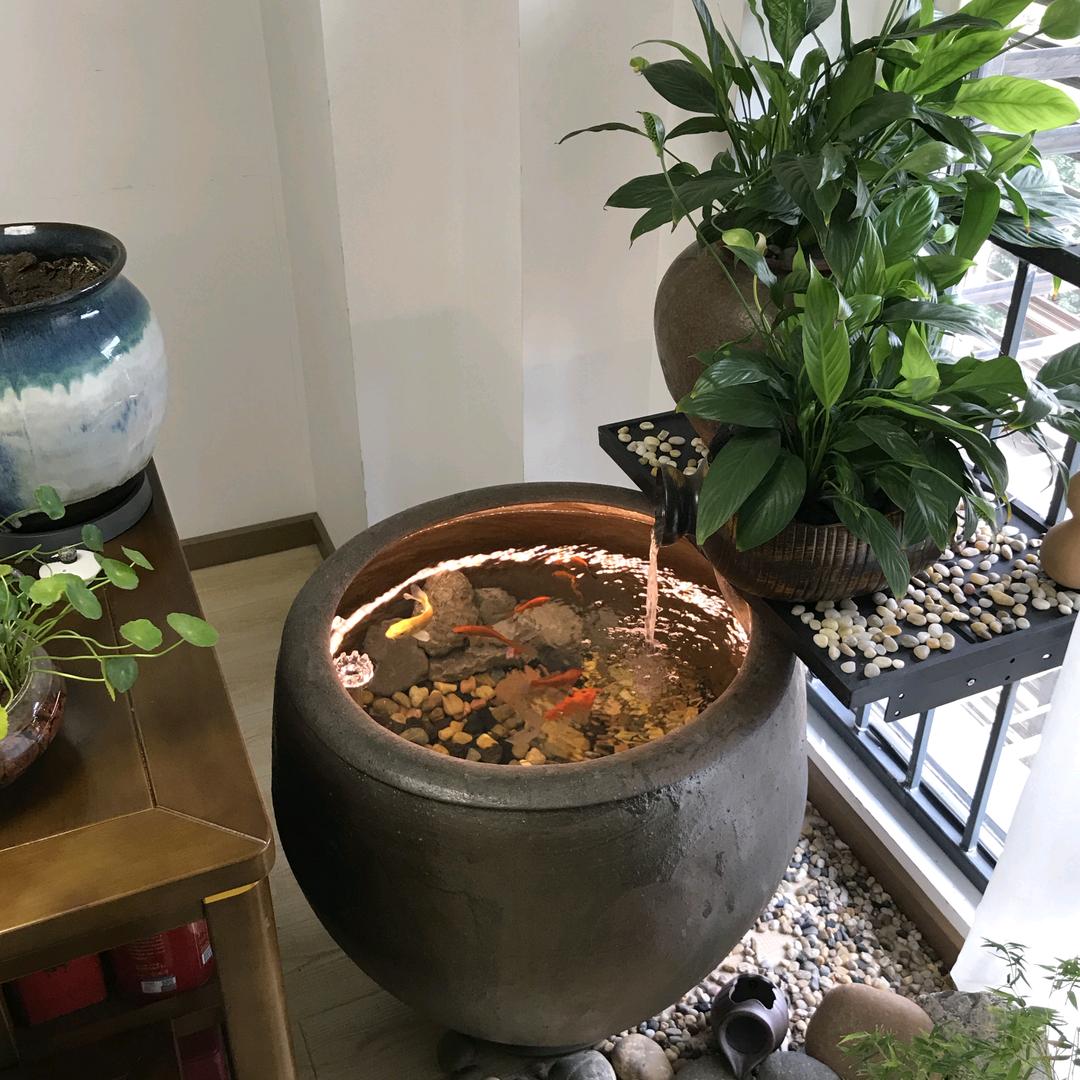 生态鱼乐圈
