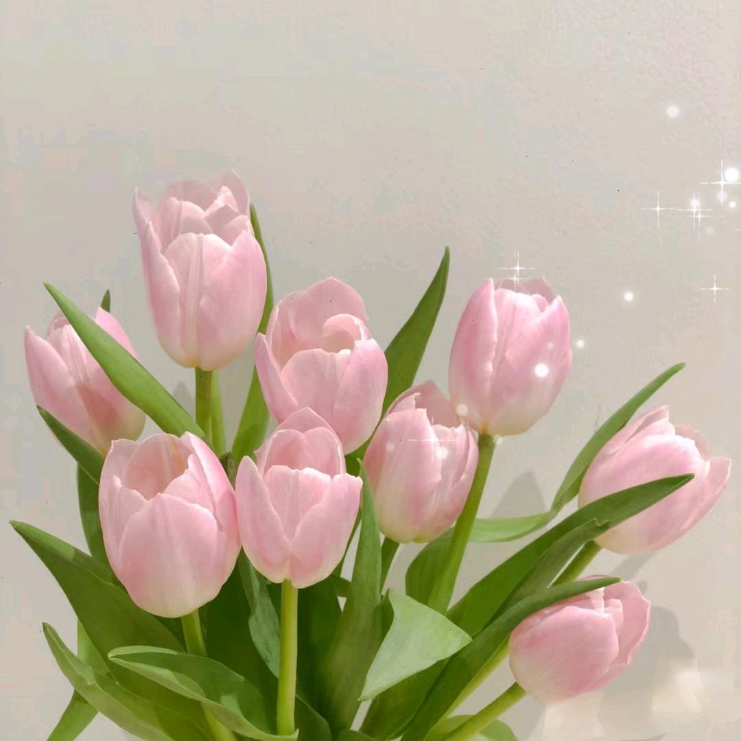 🍈奈米的糖