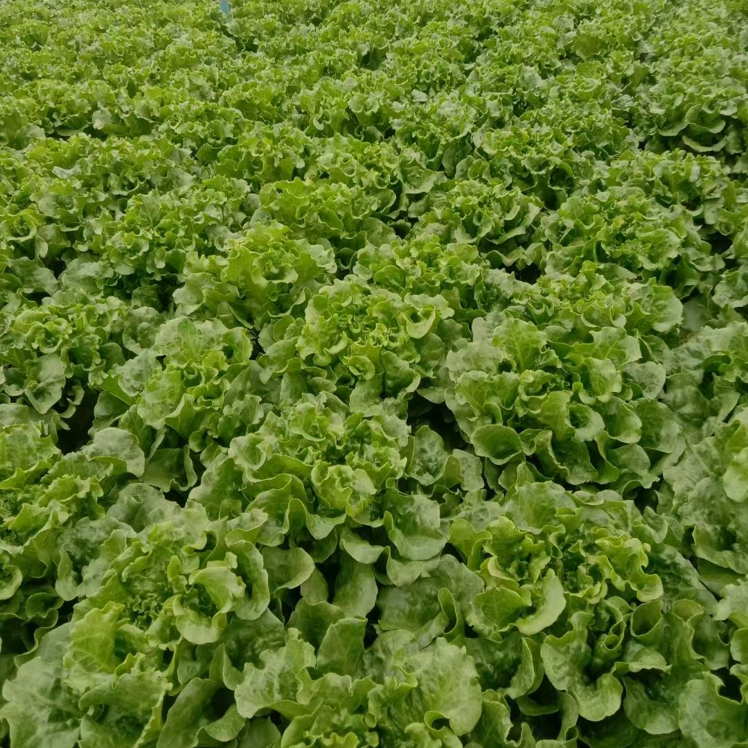 哥的世界你不懂！