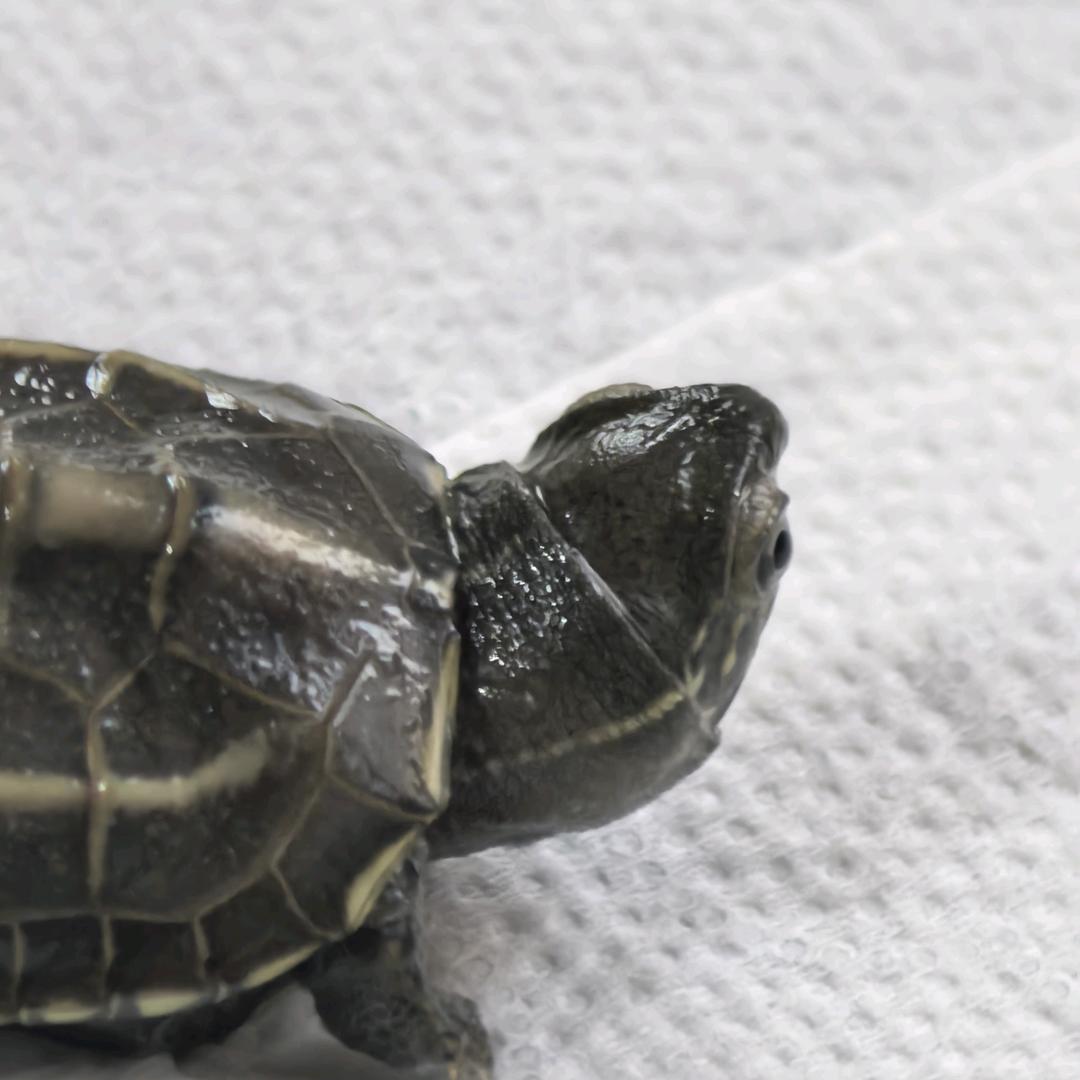 一个不愿透露姓名的网友