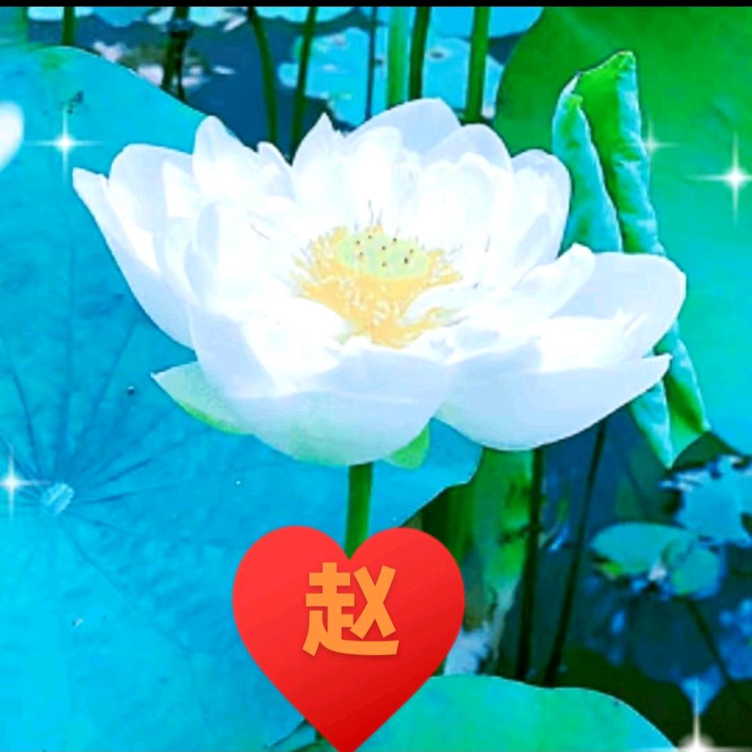 ☞善❤缘   【有赞必回】