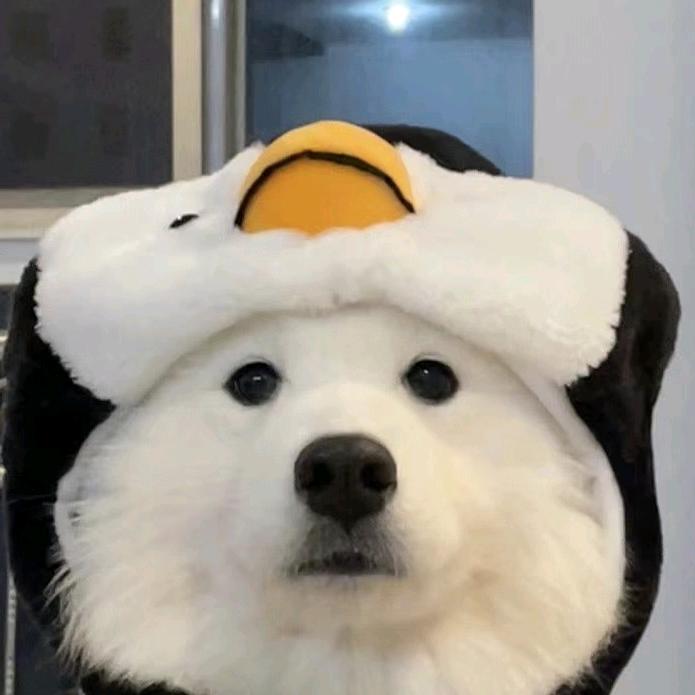 个人