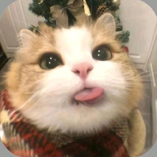 @沐