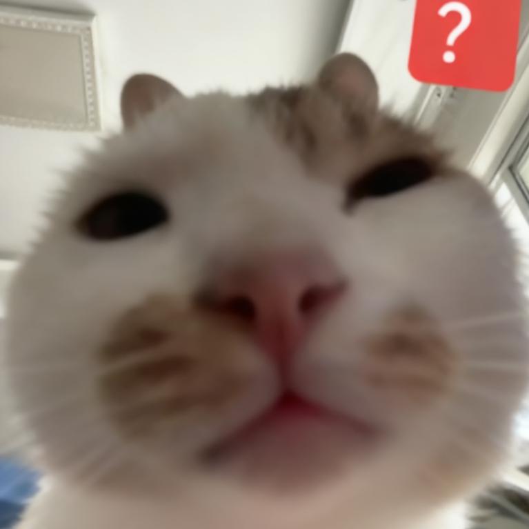 江羽