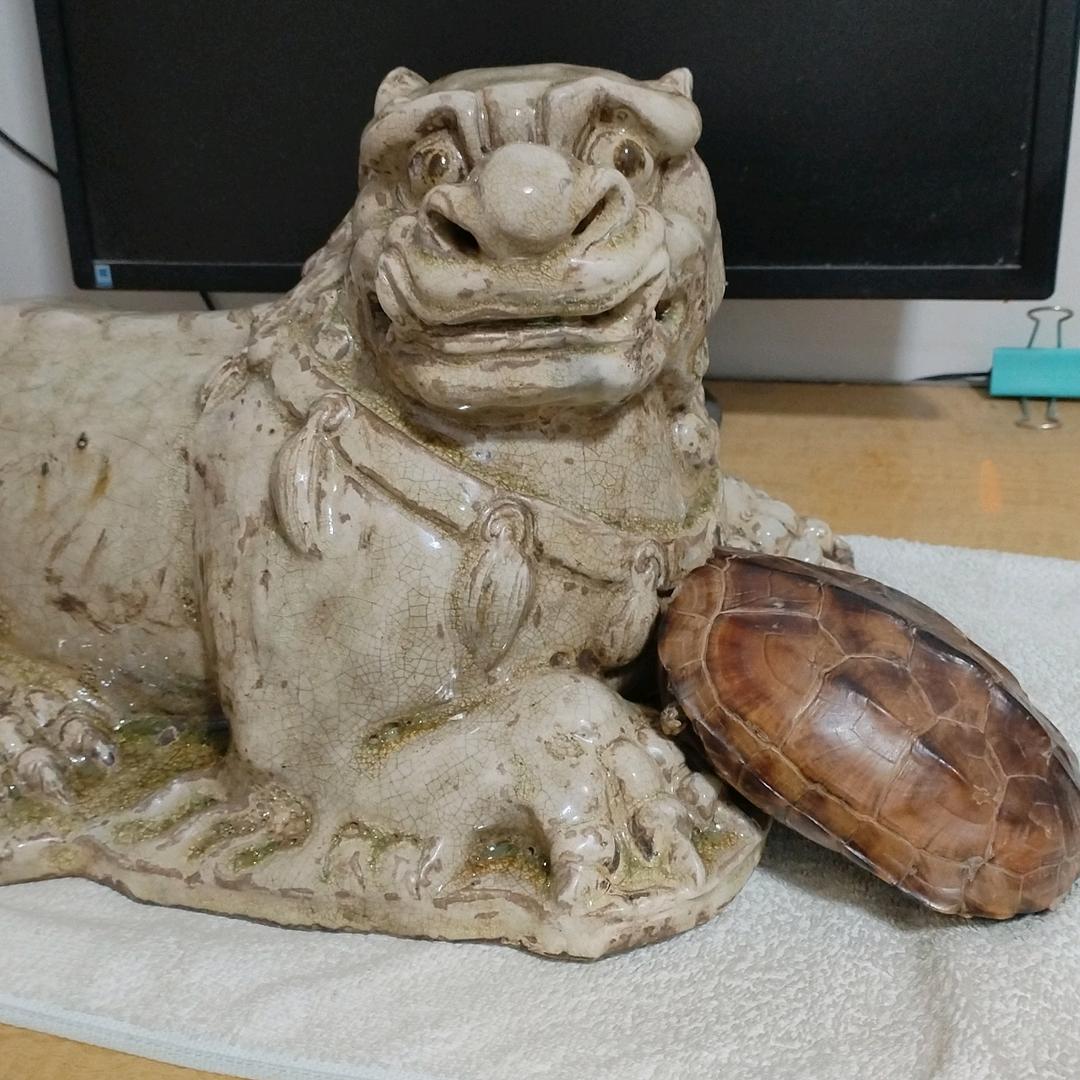 贾宝国宋元瓷器