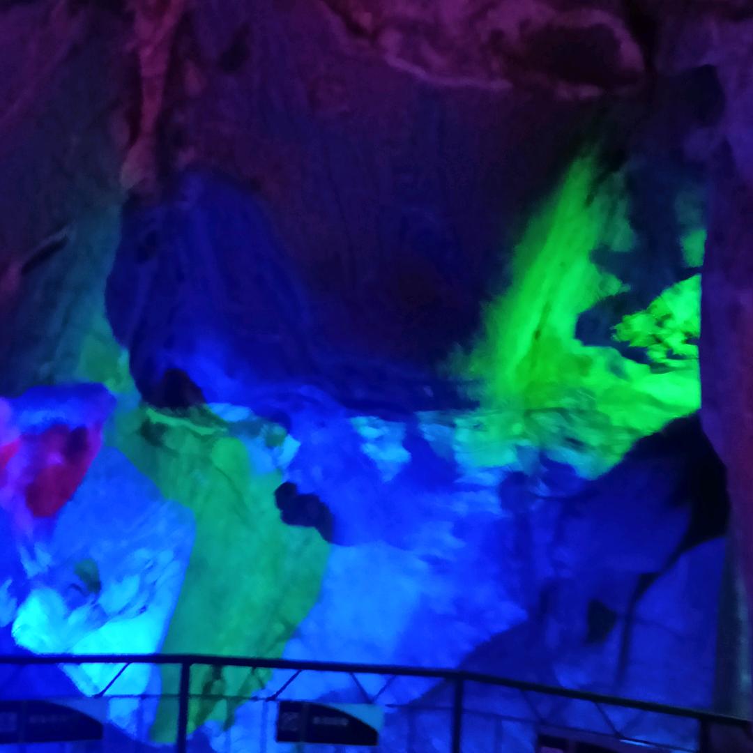 湿地公园小白兔儿童乐园