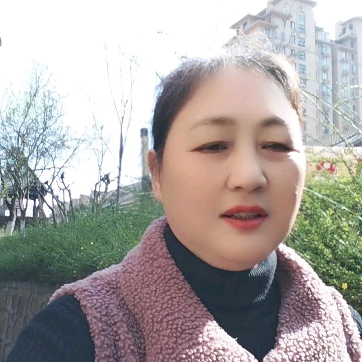 凤姐姐