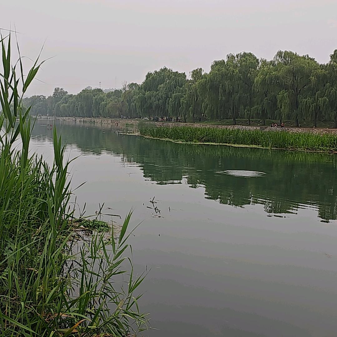 勇往直前，无所畏惧