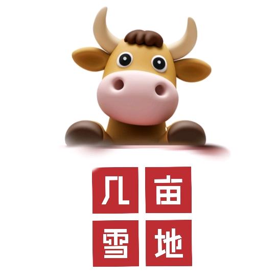 几亩雪地