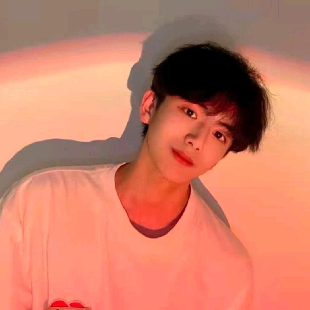 阿竹精选血统锦鲤