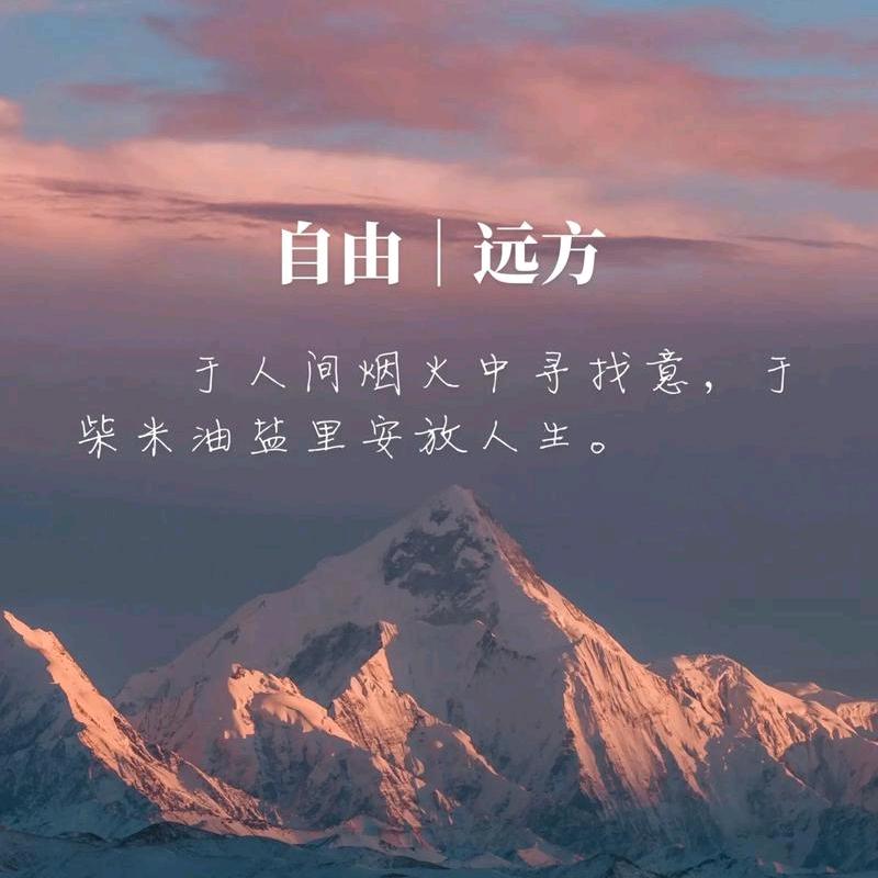 诗与远方