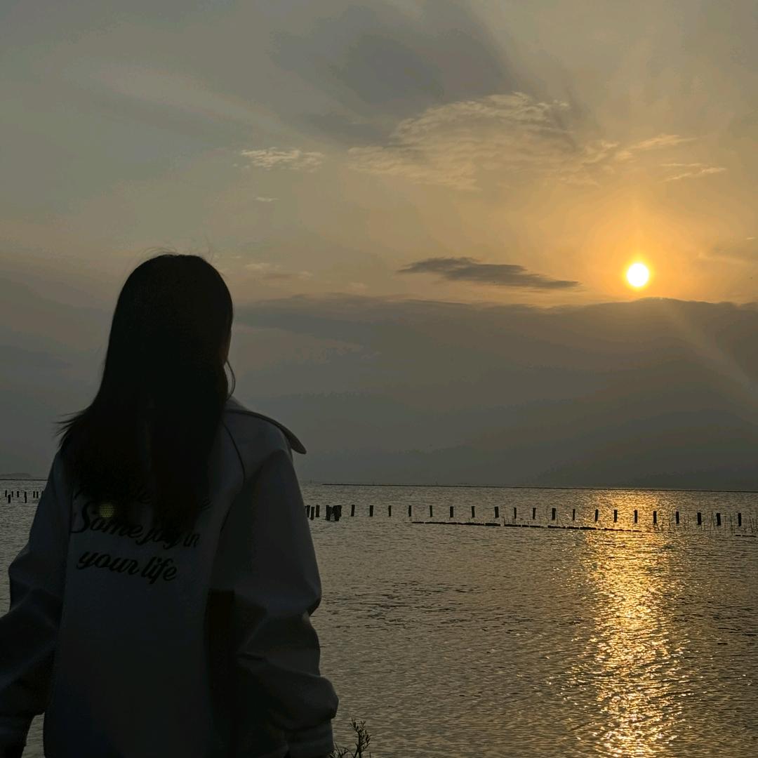 椰椰椰