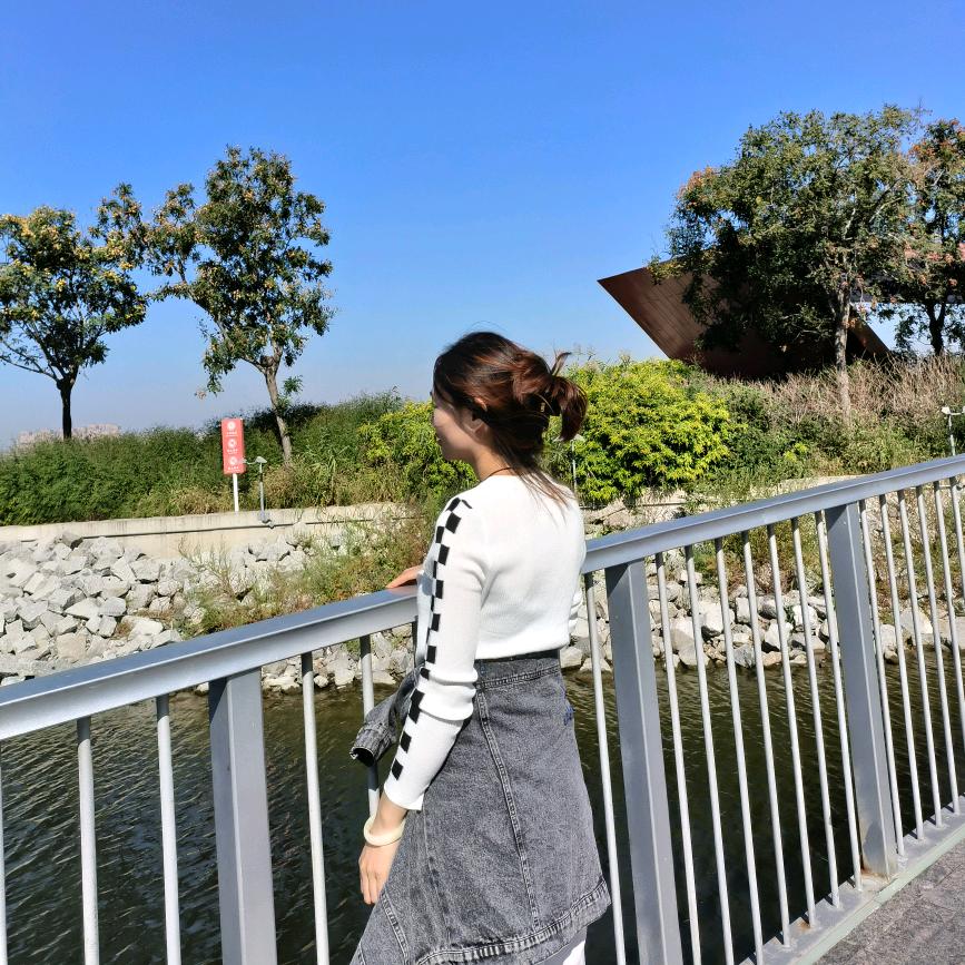 似假非真