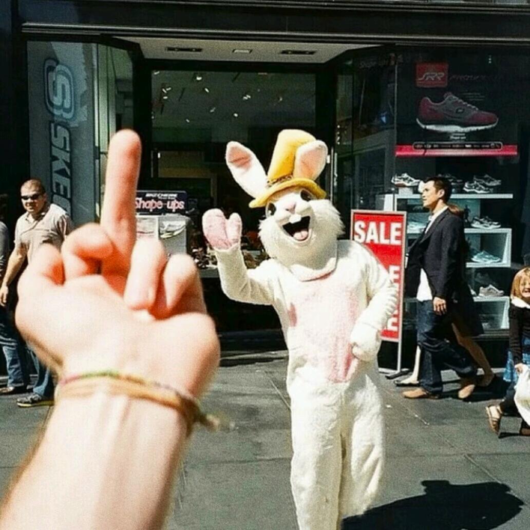 。       。
