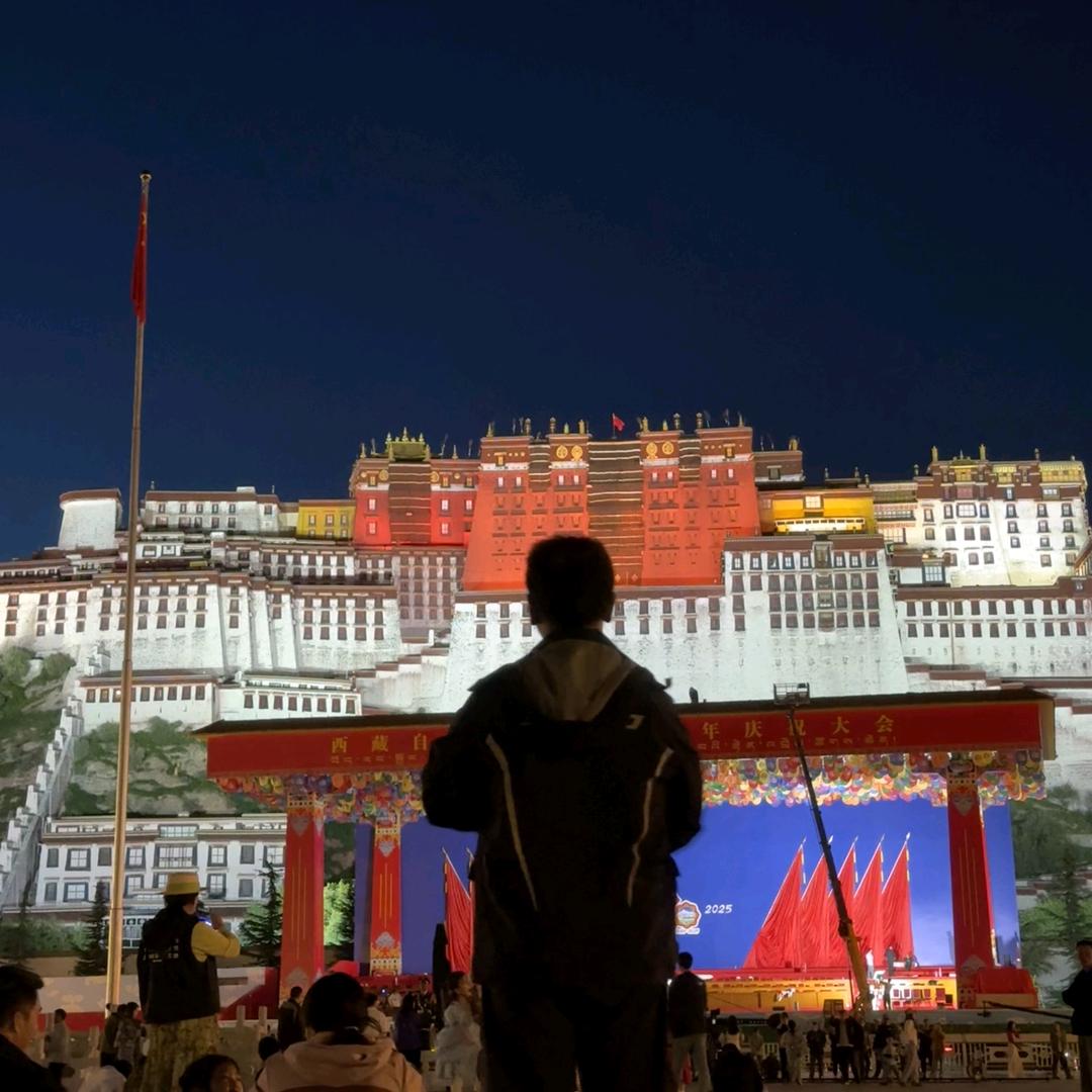 皮卡丘🇨🇳🕊🇵🇸（跑单版）