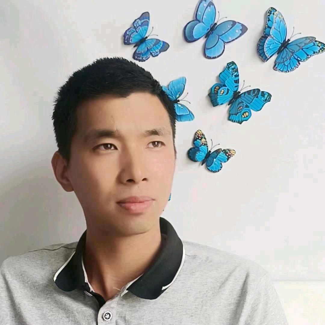 农村小李