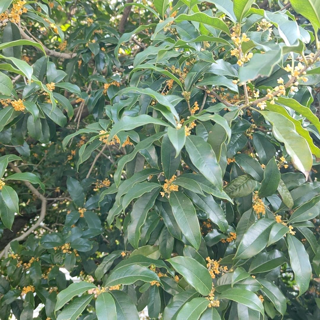 稍微晚点