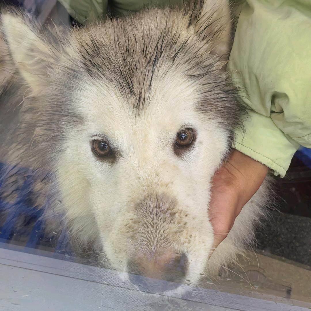 来福开心最重要