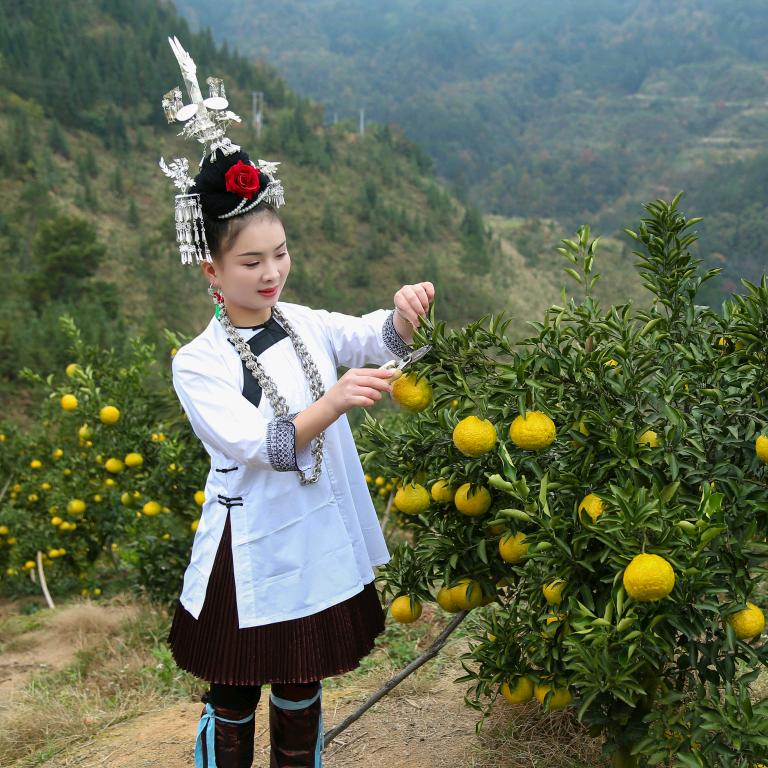 兴农鲜果家庭农场