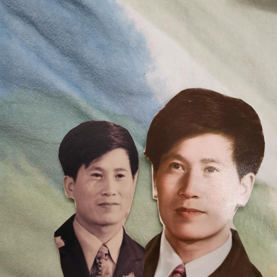HD一棵树