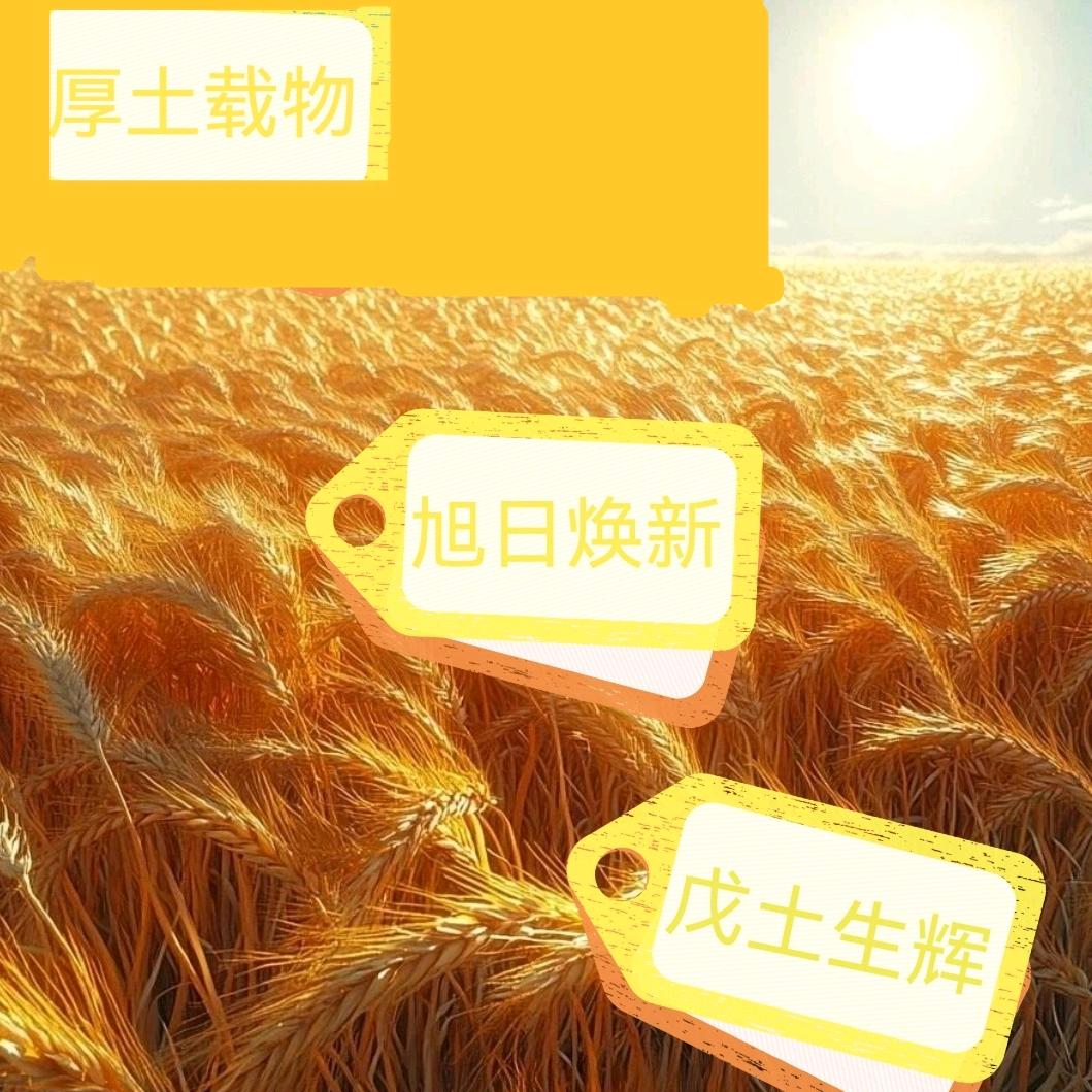 🔥火土生辉🔥